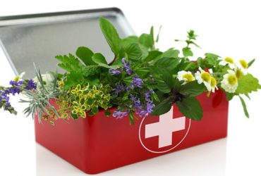 کاربرد گیاهان دارویی
