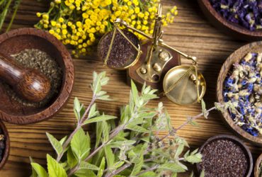 اصول طب سنتی مقدماتی