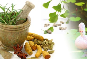 تاریخچه طب سنتی